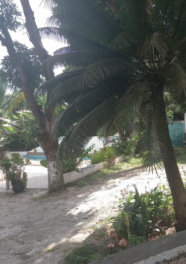 Frente para Reserva Florestal