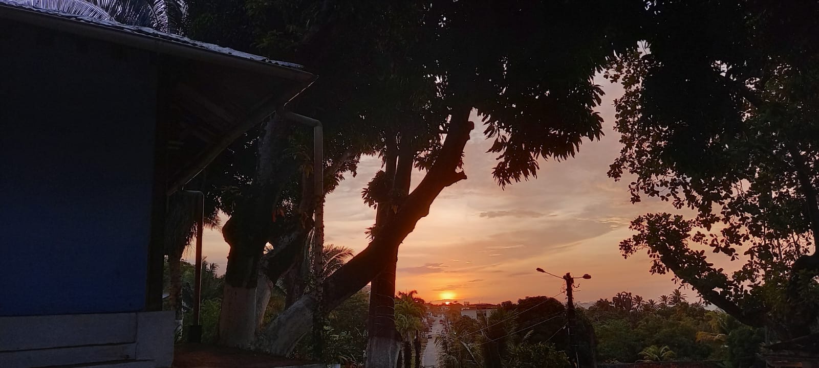 Frente para Reserva Florestal - Vista 8